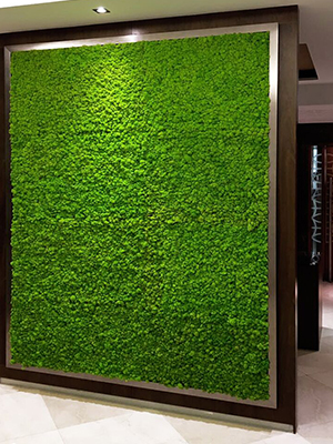 polarmoss pannello decorativo 3D flessibile per muro interior design_8 polarmoss pannello decorativo 3D flessibile per muro interior design_8